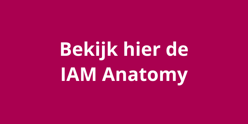 Bekijk_hier_de_Nederlands_vertaalde_IAM_Anatomy_2.png