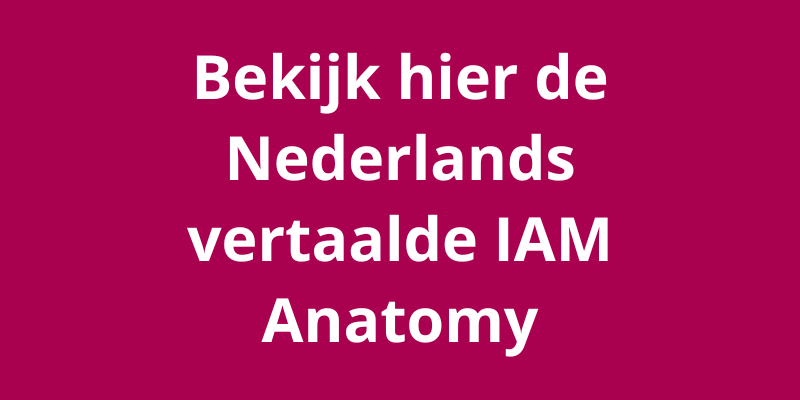 Bekijk_hier_de_Nederlands_vertaalde_IAM_Anatomy_1.png